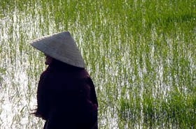 photo poster vietnam voyage tourisme